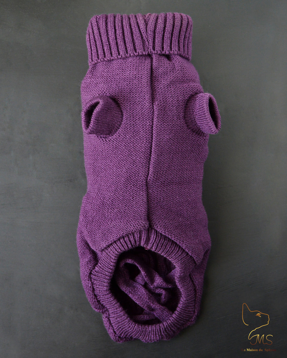 Pull pour chat sphynx