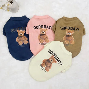 Pull pour chat sphynx 4 coloris avec un motif d'ourson