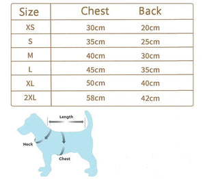 Tableau des tailles Pull pour chat sphynx avec un motif d'ourson