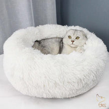 Charger l&#39;image dans la galerie, Chat détendu dans un gros coussin pour chat moelleux