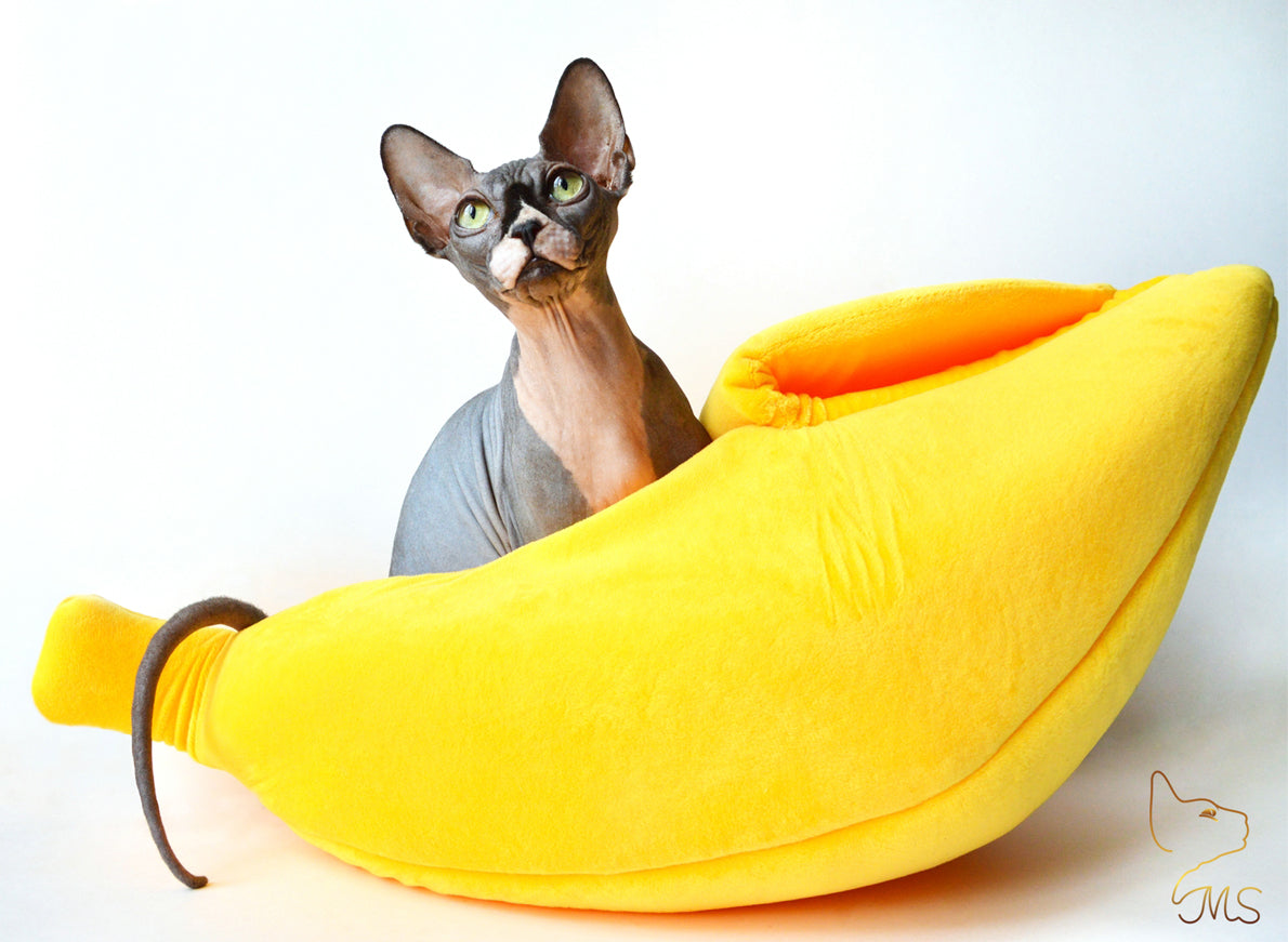 Banane Chat - Panier à Chat Couleur Jaune Taille M (50x20x15cm) - 2,5Kg