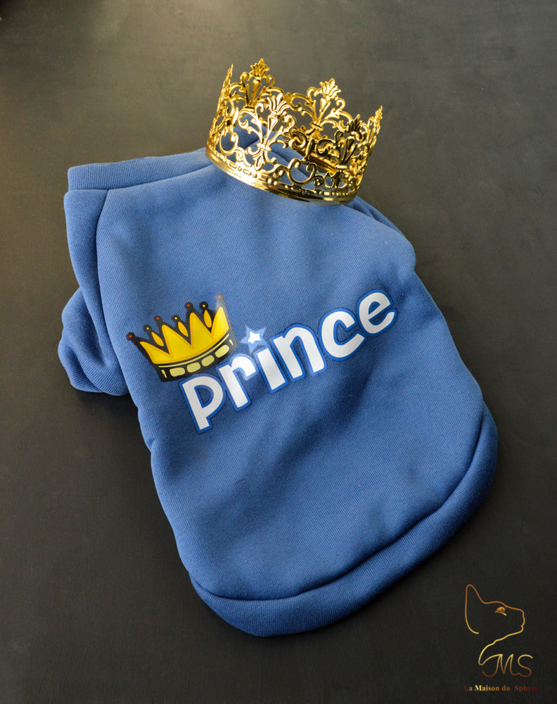 Pull pour chat sphynx bleu avec une inscription Prince