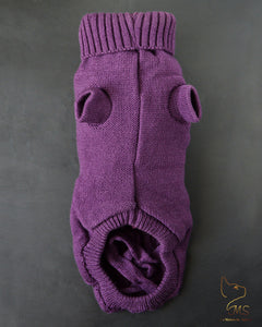 Pull pour chat sphynx de couleur violet